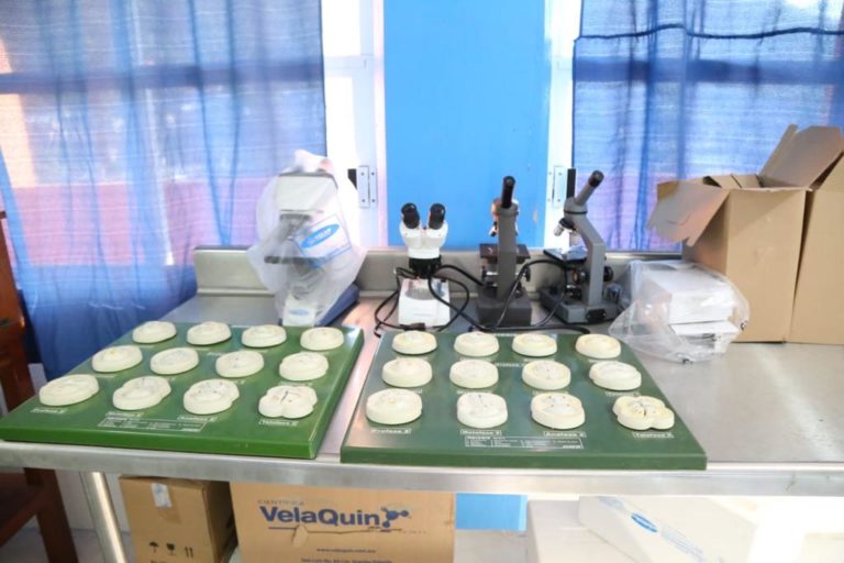 Microscopios y material de prácticas en el laboratorio de CEUSJIC