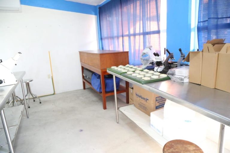 Laboratorio de biología